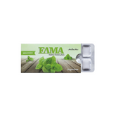Kaugummi Minze zuckerfrei  "ELMA" 13g