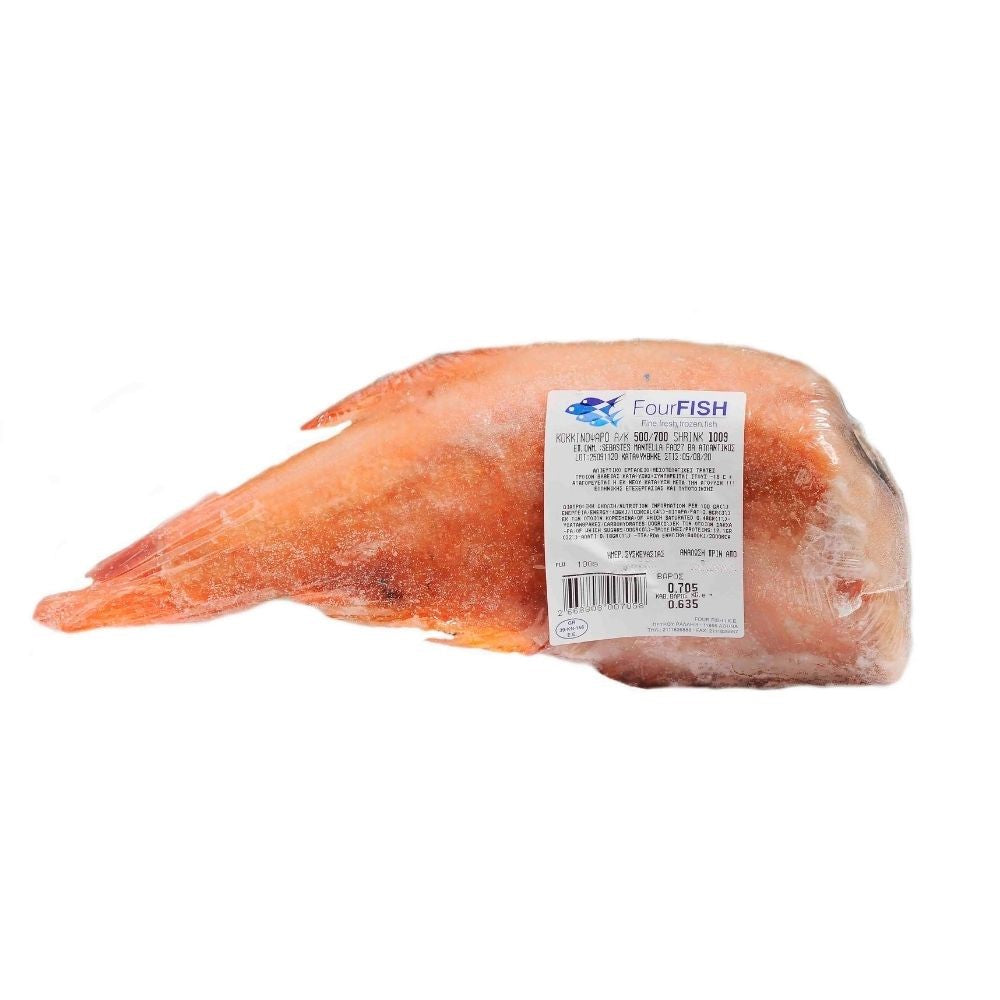 Roter Fisch (Kokkinopsaro) in unterschiedlichen Größen