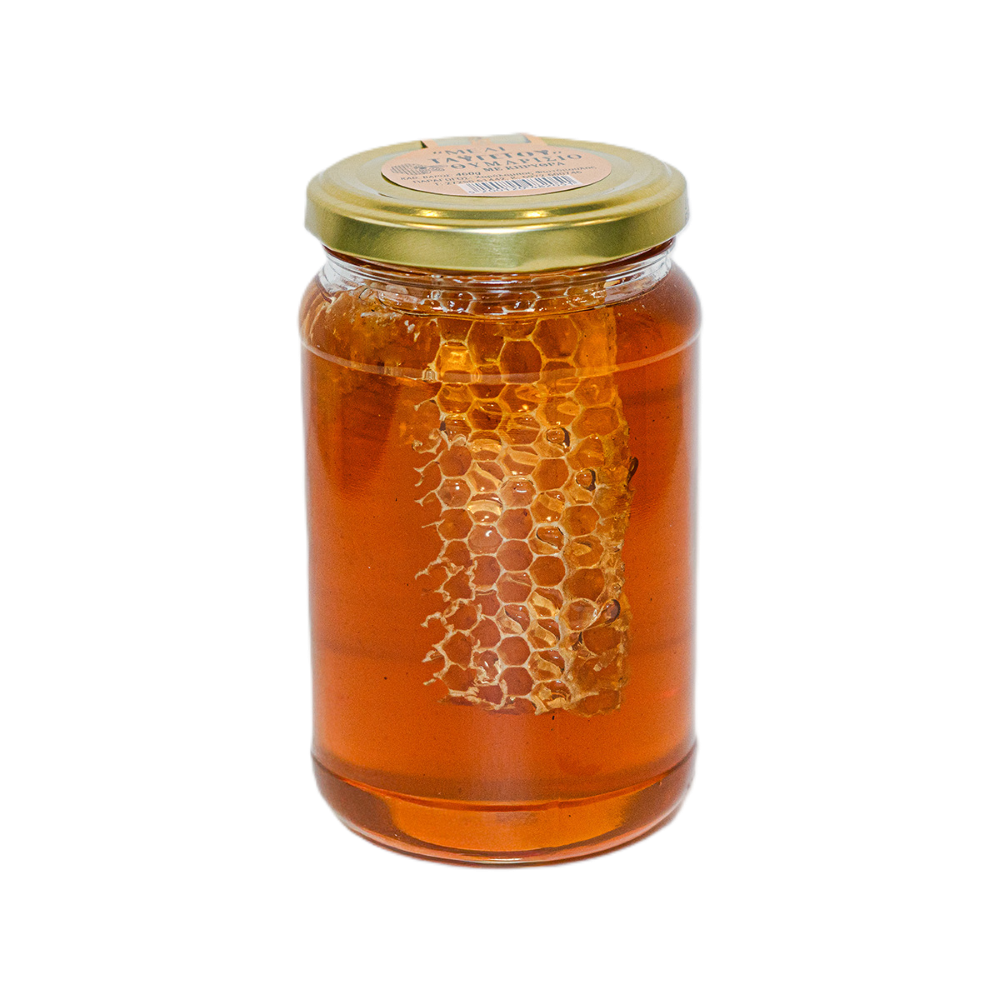 Thymianhonig mit Waben "Taygetos" 460g
