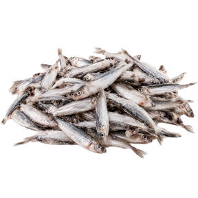 Anchovies (Gavros) aus Griechenland 50/60 "Four Fish" 1kg