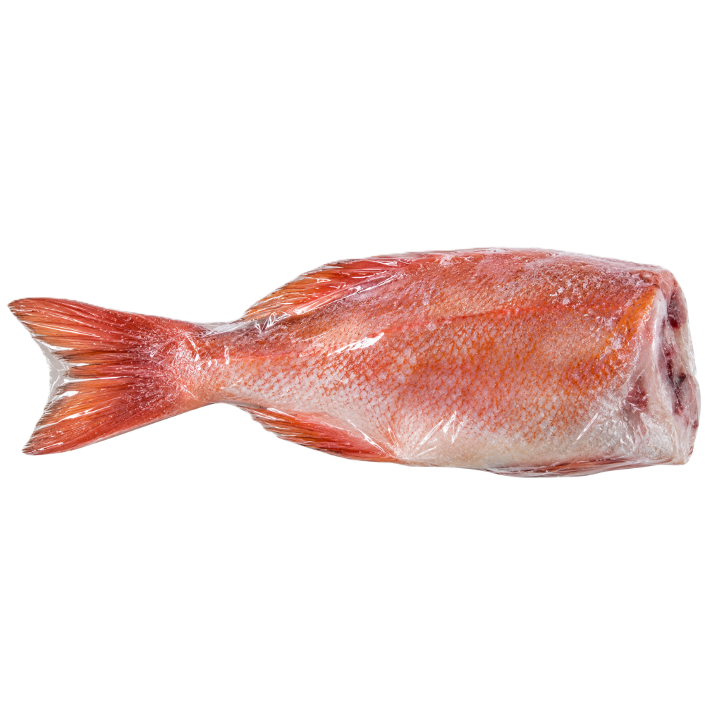 Roter Fisch (Kokkinopsaro) in unterschiedlichen Größen
