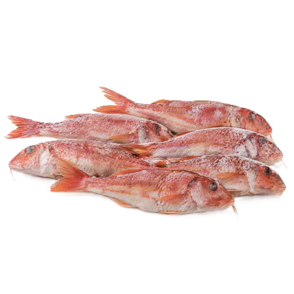 Rotbarsch (Mparmpounia) "Four Fish" 700g